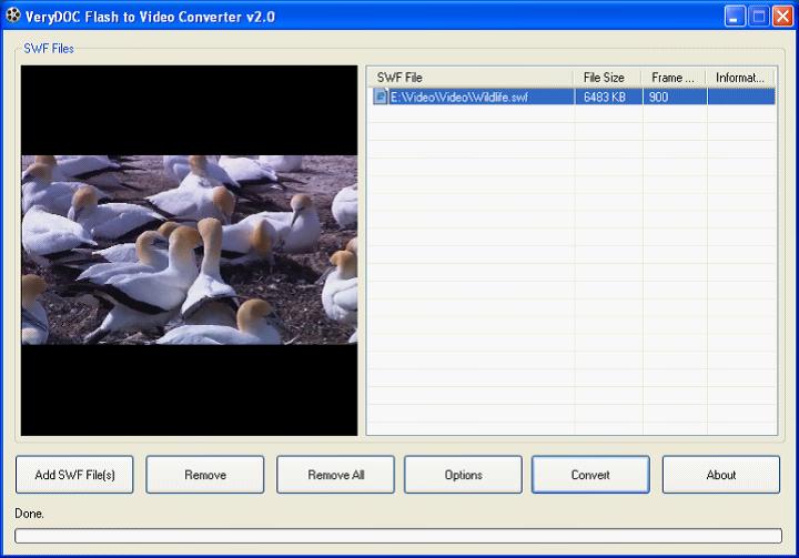 Windows 8 Flash to MOV Converter full