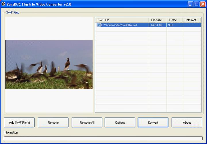 Flash to MP4 Converter screenshot