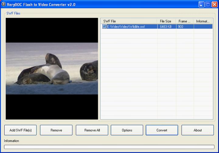 Flash to Video Converter screenshot