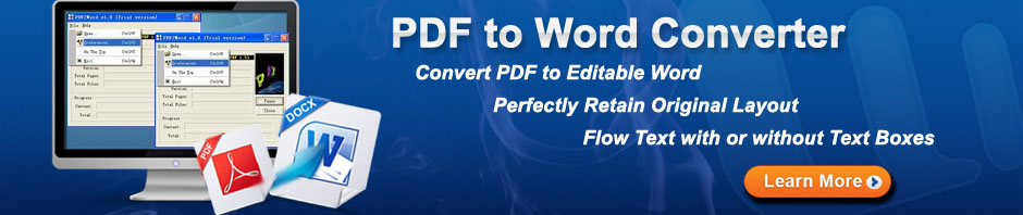 convert pdf to microsoft word 2003