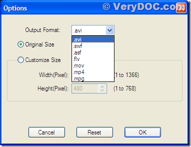 Option dialog of Flash to Video Converter
