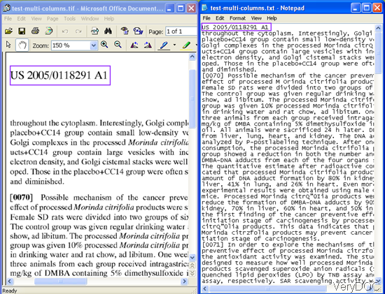 conversion effect of  Raster to Text OCR Converter