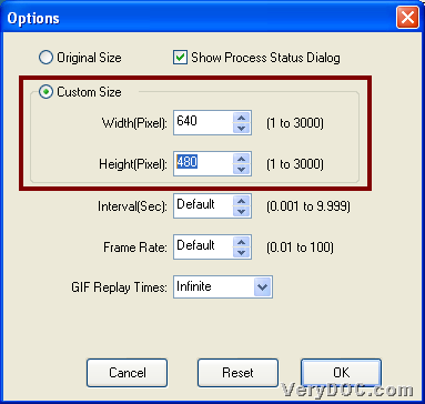 How to convert flash to animated GIF and set animated GIF size