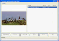 Interface of Flash to MP4 Converter